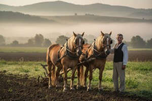 IV. Izborna skupština Udruge uzgajivača konja