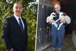 Prvo staja pa u odijelo načelnika: Ivan Miletić uspješan je u vođenju farme i općine