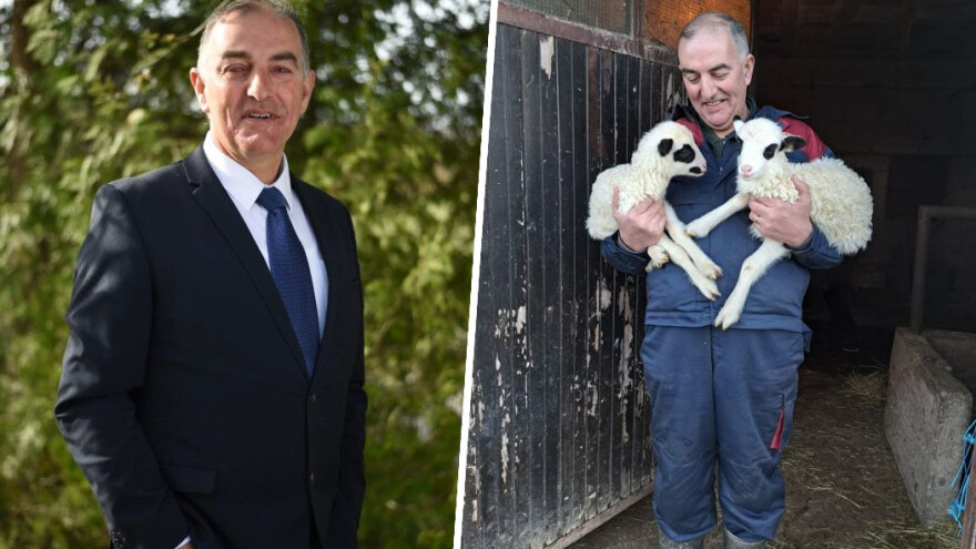 Prvo staja pa u odijelo načelnika: Ivan Miletić uspješan je u vođenju farme i općine