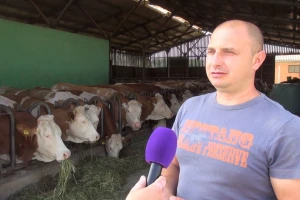 Ivan Bobek s 50 muznih krava ima najuzorniji OPG Požeško-slavonske županije