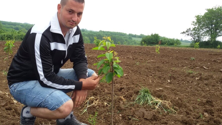 Budućnost nosi ime - trešnja