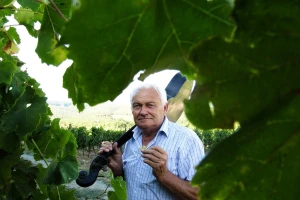 Vinski Baltazar, Ivan Enjingi, u prodaju je pustio remek djelo hrvatskog vinarstva - Venje iz 2006.!