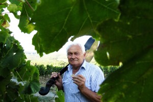 Vinski Baltazar, Ivan Enjingi, u prodaju je pustio remek djelo hrvatskog vinarstva - Venje iz 2006.!