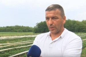 Uvjeti za jagode bili su optimalni, OPG Ivana Nedoklana upravo u njima vidi potencijal