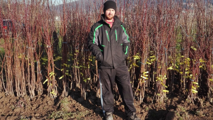 Potrajat će dok se voćarstvo oporavi, no ne odustajemo lako!