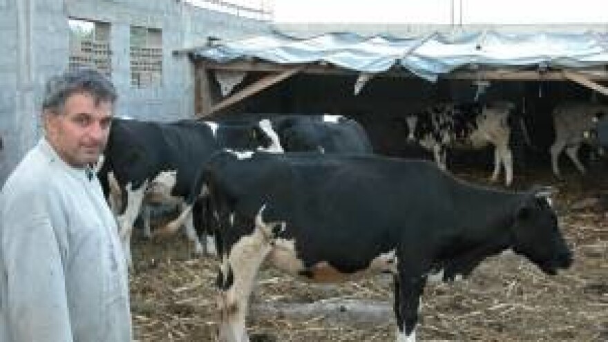 Nevolje dalmatinskih farmera i proizvođača mlijeka