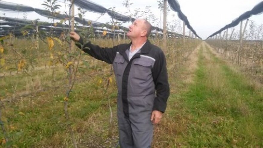 Tko kaže da nam neće biti dobro?