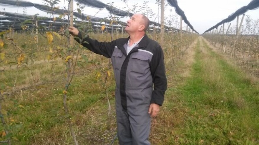 Više uspjeha uz ulaganje u prave kulture!