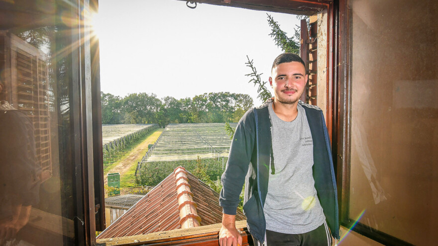 Kako je budući agronom Ivan Šima "pobijedio" proljetni mraz na cvjetovima Idared jabuka?