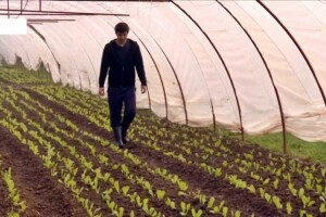 Ivan Veselić - primjer mladog i vrijednog farmera