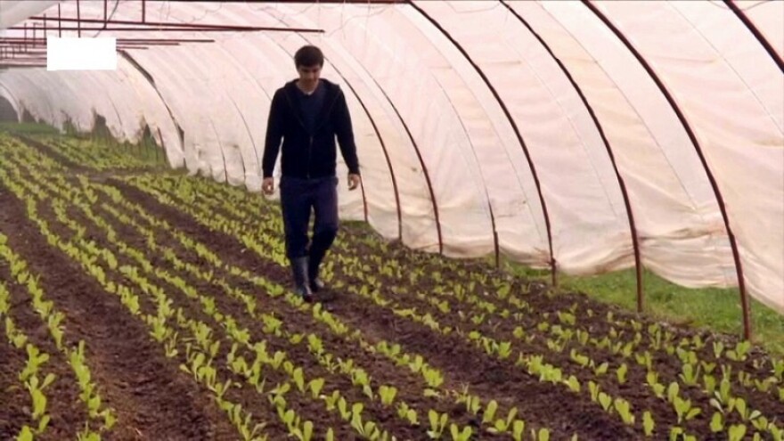 Ivan Veselić - primjer mladog i vrijednog farmera