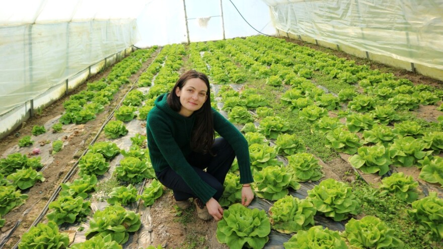 Stogodišnja proizvodnja - svi se jagme za rasad i povrće s imanja Neškovića