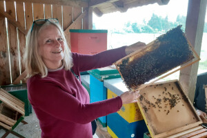Suradnja srednje škole i pčelara: Otvoren školski pčelinjak, formira se i pčelarska grupa