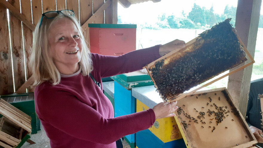 Suradnja srednje škole i pčelara: Otvoren školski pčelinjak, formira se i pčelarska grupa