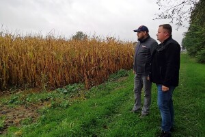 Baranašić: Novi hibridi su izazov, ali MAS 34 B mi je donio više od 16 t/ha kukuruza