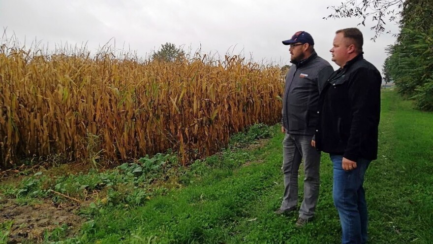 Baranašić: Novi hibridi su izazov, ali MAS 34 B mi je donio više od 16 t/ha kukuruza