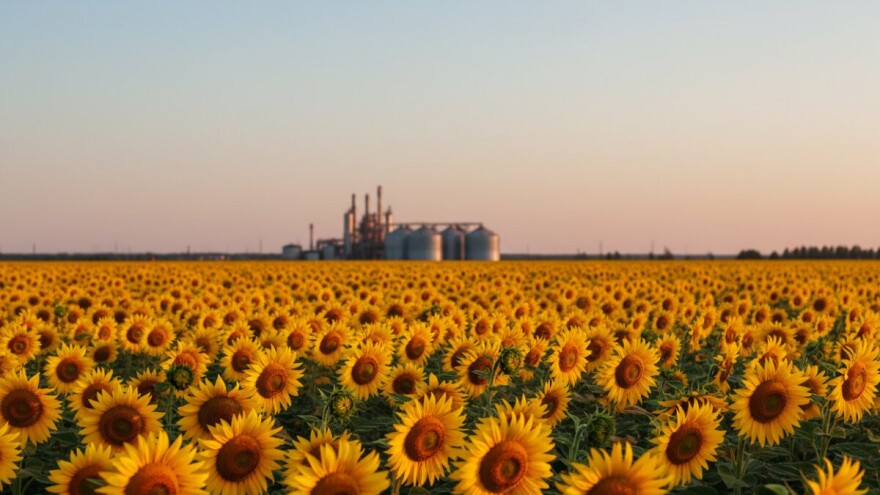 Ivica Crnković na čelu čepinske Uljare