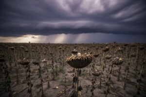 Ivica Todorić u engleskoj policiji, protivit će se izručenju?