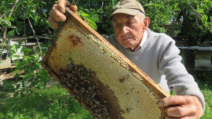 Ivo Banovčić ima 91 godinu, pčelari punih 81 i kaže: Ja sam najsretniji čovjek na svijetu!