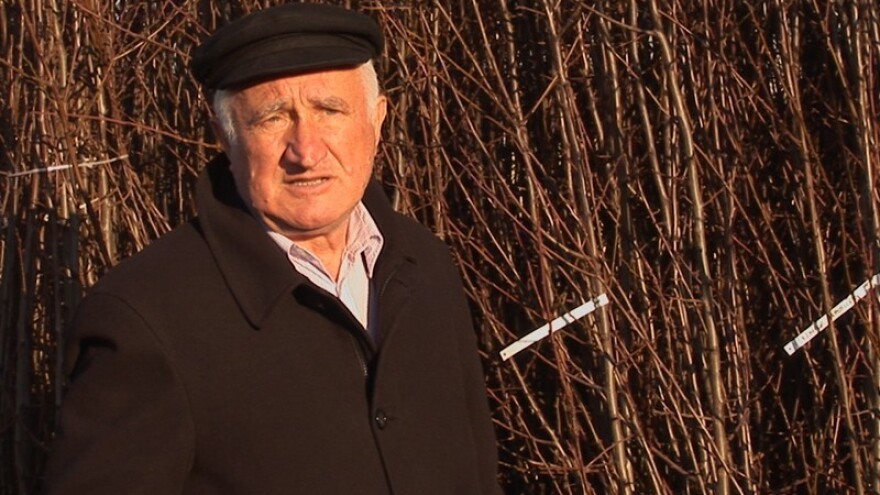 Voćne sadnice kompanije Superior