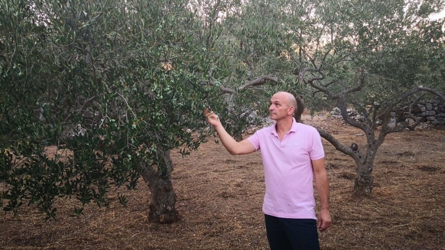 Ivo Radojković: Turizam bez poljoprivredne proizvodnje nema budućnosti