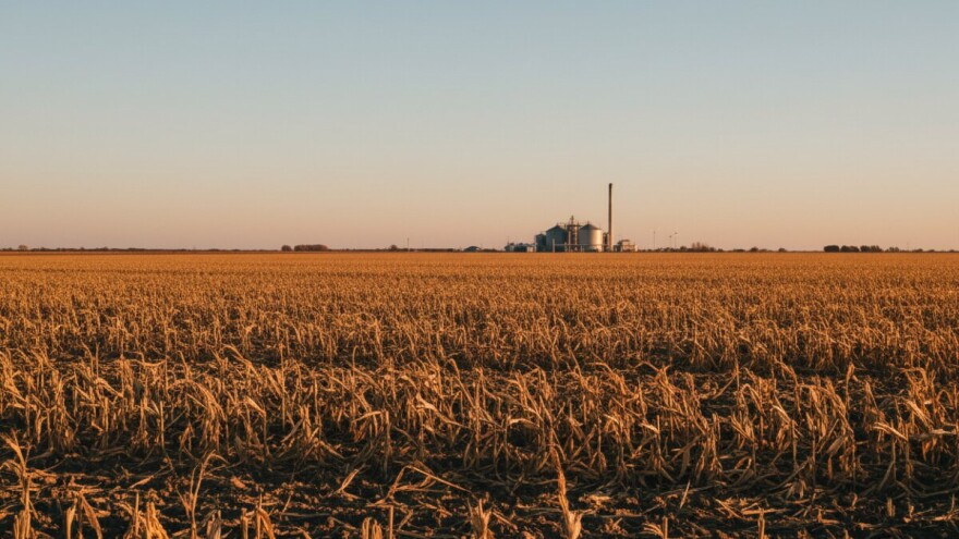 Iz kukuruzne silaže na jesen bioplin i struja