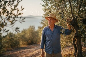 Iz tenisa u masline i nagrade!