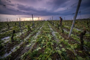 Iza tuče ostale milijunske štete