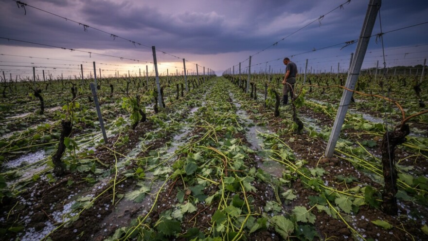 Iza tuče ostale milijunske štete