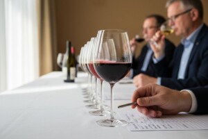 Izabrana najbolja voćna vina Hrvatske!