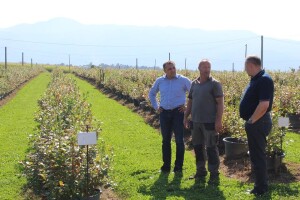 Obezbijedit će protivgradnu zaštitu za plantažu borovnica u vlasništvu Nusreta Sušića