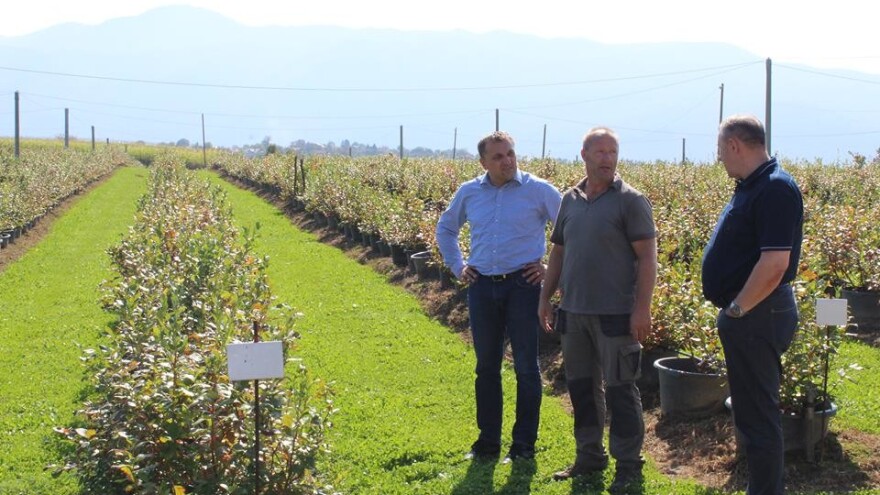 Obezbijedit će protivgradnu zaštitu za plantažu borovnica u vlasništvu Nusreta Sušića