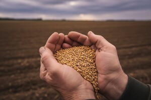 Izazovi hrvatske poljoprivrede