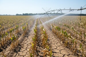 Izbjegavajte radove u polju, stiže novi toplinski val