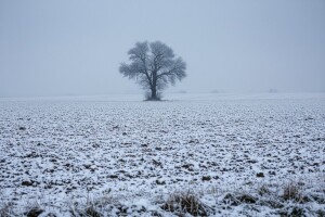 Izgledi za Hrvatsku za 02.01.2009-04.01.2009