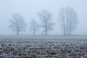 Izgledi za Hrvatsku za 02.01.2011-04.01.2011