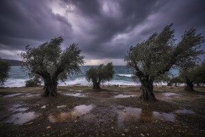 Izgledi za Hrvatsku za 02.02.2009-04.02.2009