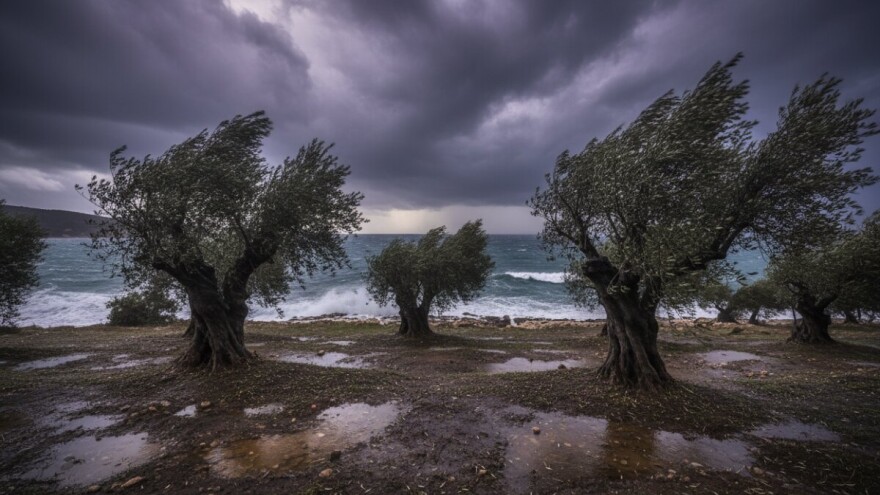 Izgledi za Hrvatsku za 02.02.2009-04.02.2009