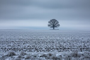 Izgledi za Hrvatsku za 02.02.2010-04.02.2010