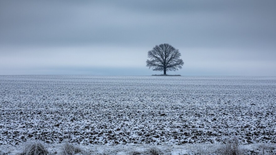 Izgledi za Hrvatsku za 02.02.2010-04.02.2010