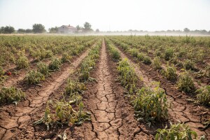 Izgledi za Hrvatsku za 02.08.2013-04.08.2013