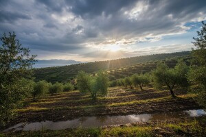 Izgledi za Hrvatsku za 03.07.2009-05.07.2009