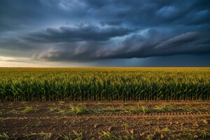 Izgledi za Hrvatsku za 03.08.2009-05.08.2009