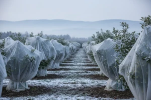Izgledi za Hrvatsku za 04.02.2012-06.02.2012