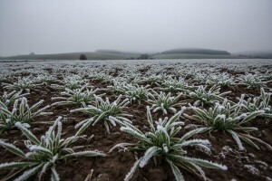 Izgledi za Hrvatsku za 04.03.2012-06.03.2012