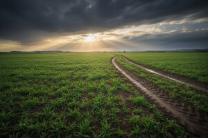 Izgledi za Hrvatsku za 04.06.2010-06.06.2010