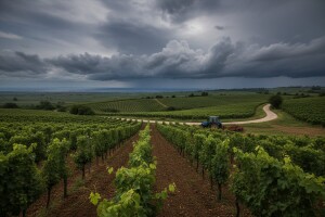 Izgledi za Hrvatsku za 04.07.2011-06.07.2011