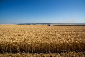 Izgledi za Hrvatsku za 04.07.2014-06.07.2014