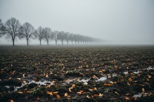 Izgledi za Hrvatsku za 04.12.2011-06.12.2011