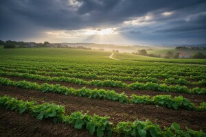 Izgledi za Hrvatsku za 05.06.2011-07.06.2011